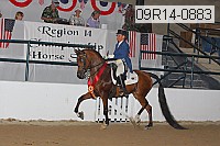 09r14-0883 proof
