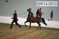 09r14-0910 proof
