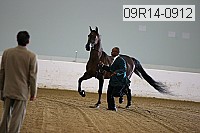 09r14-0912 proof