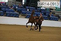 09r14-0913 proof