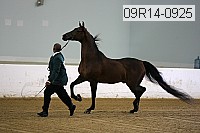 09r14-0925 proof