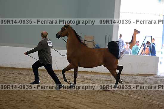Proof 09r14-0935