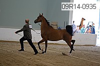 09r14-0935 proof