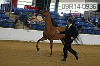 09r14-0936 proof
