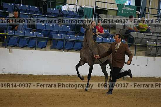 Proof 09r14-0937