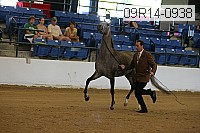 09r14-0938 proof