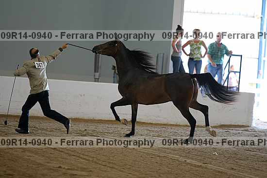 Proof 09r14-0940