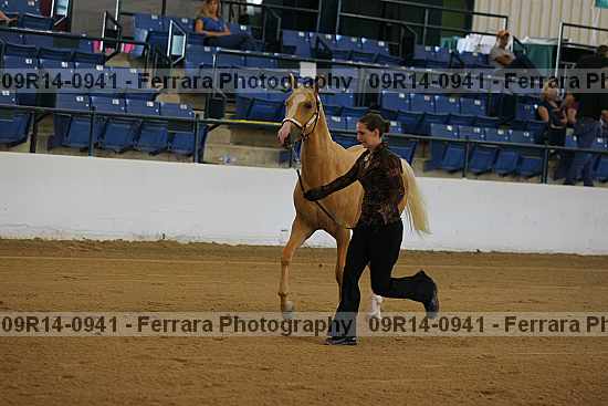 Proof 09r14-0941