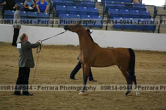 Proof 09r14-0944