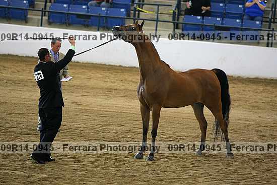 Proof 09r14-0945