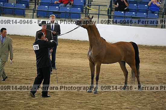 Proof 09r14-0946