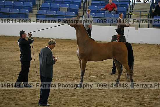 Proof 09r14-0948