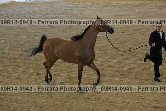 Proof 09r14-0949