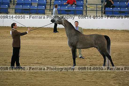 Proof 09r14-0950