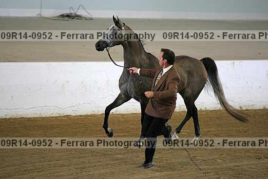 Proof 09r14-0952