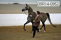 09r14-0952 proof