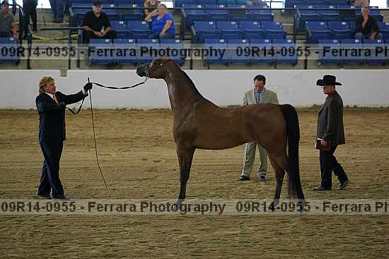 Proof 09r14-0955