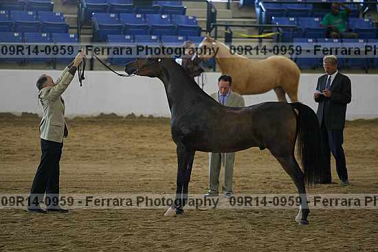 Proof 09r14-0959