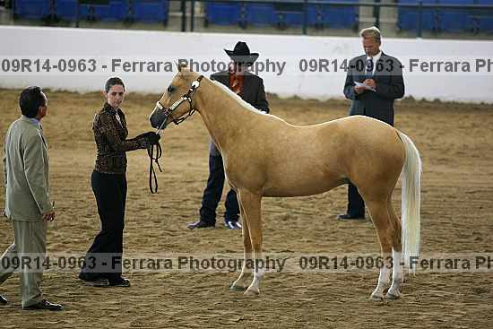 Proof 09r14-0963