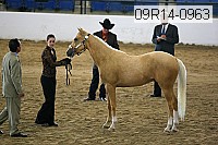 09r14-0963 proof