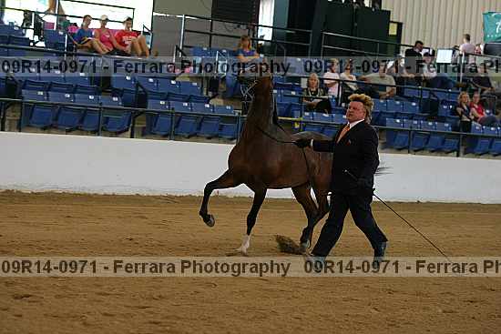 Proof 09r14-0971