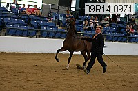 09r14-0971 proof
