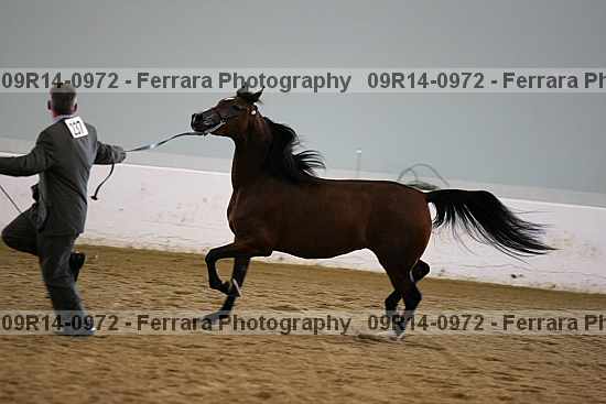Proof 09r14-0972