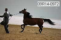 09r14-0972 proof