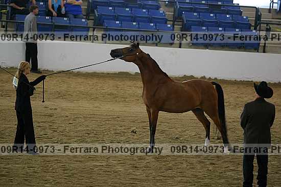 Proof 09r14-0973