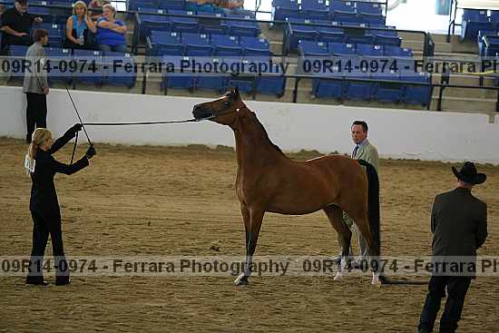 Proof 09r14-0974