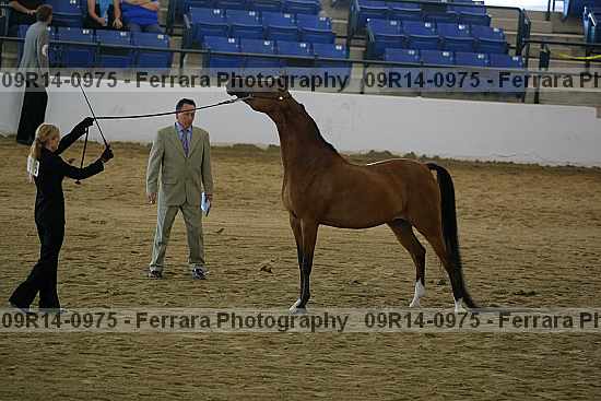 Proof 09r14-0975