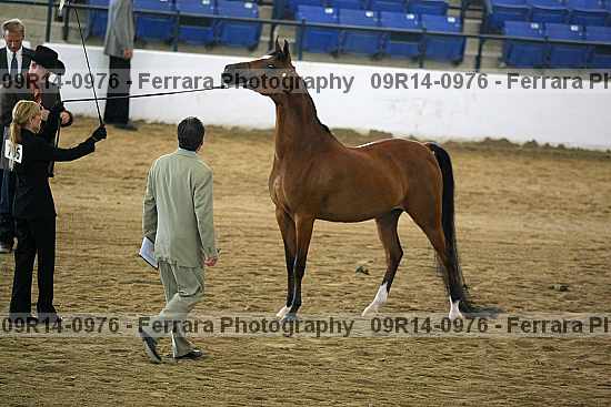 Proof 09r14-0976