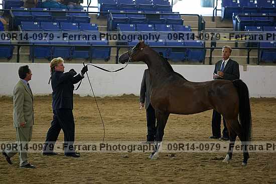 Proof 09r14-0979