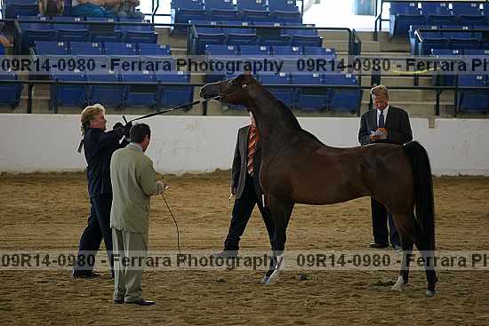 Proof 09r14-0980
