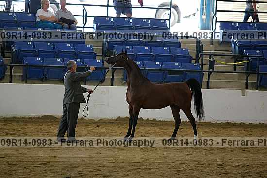 Proof 09r14-0983