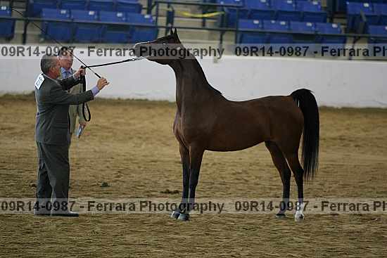 Proof 09r14-0987