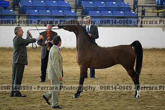 Proof 09r14-0989