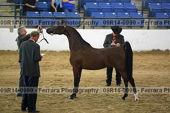 Proof 09r14-0990