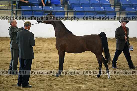 Proof 09r14-0991