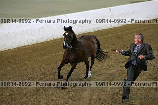 Proof 09r14-0992