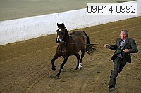 09r14-0992 proof