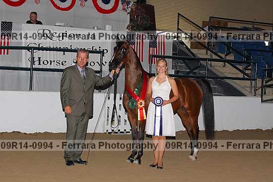 Proof 09r14-0994