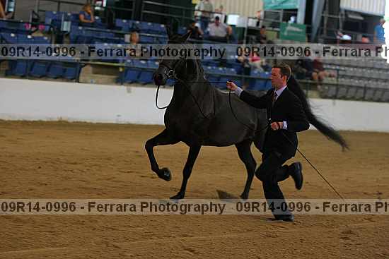 Proof 09r14-0996
