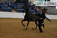 09r14-0996 proof