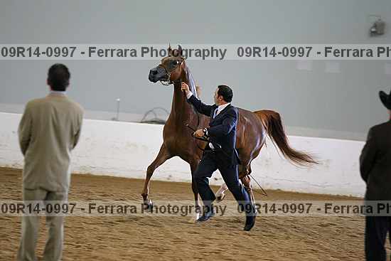 Proof 09r14-0997