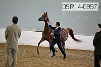 09r14-0997 proof