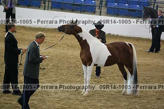Proof 09r14-1005