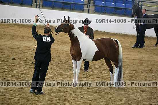 Proof 09r14-1006