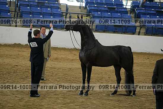 Proof 09r14-1008