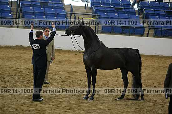 Proof 09r14-1009